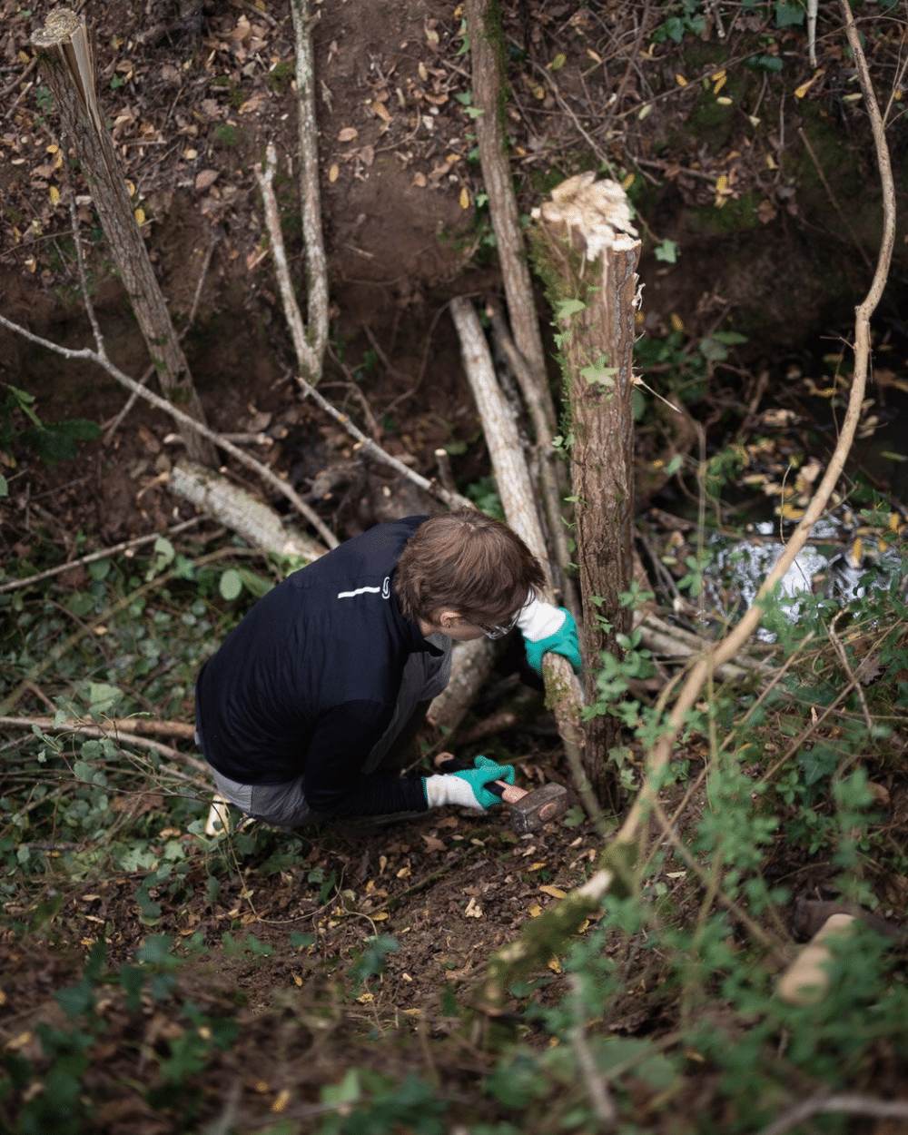 RESTOR – Chantier de la Thomaze Des bénévoles assemblent un ouvrage en branches dans le ruisseau de la Thomaze