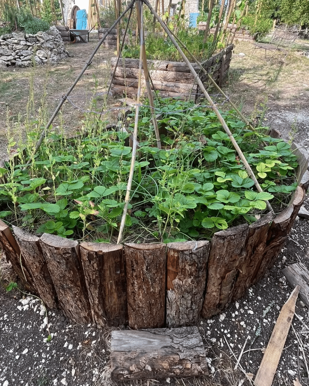 Le jardin au Vallon de Bébinet