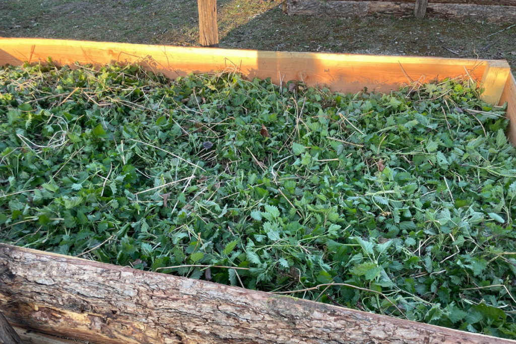 Le chantier du potager