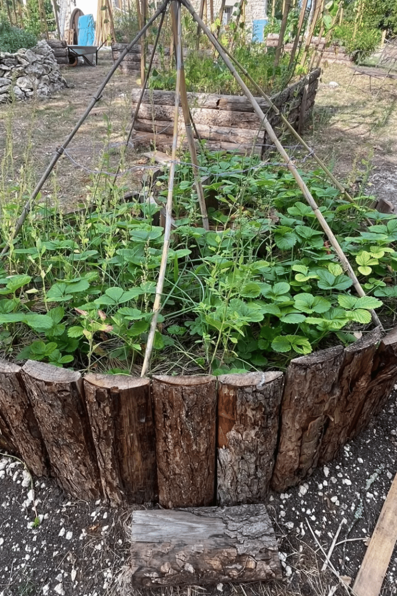 Le jardin au Vallon de Bébinet Le jardin au Vallon de Bébinet